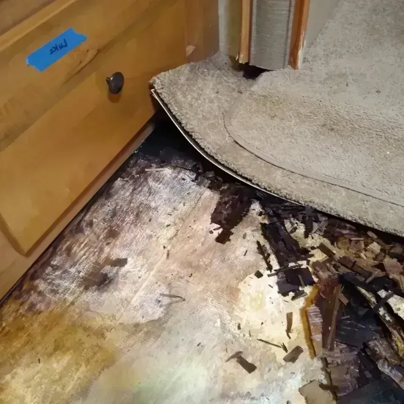 Wood Floor Water Damage in Bagley, MN